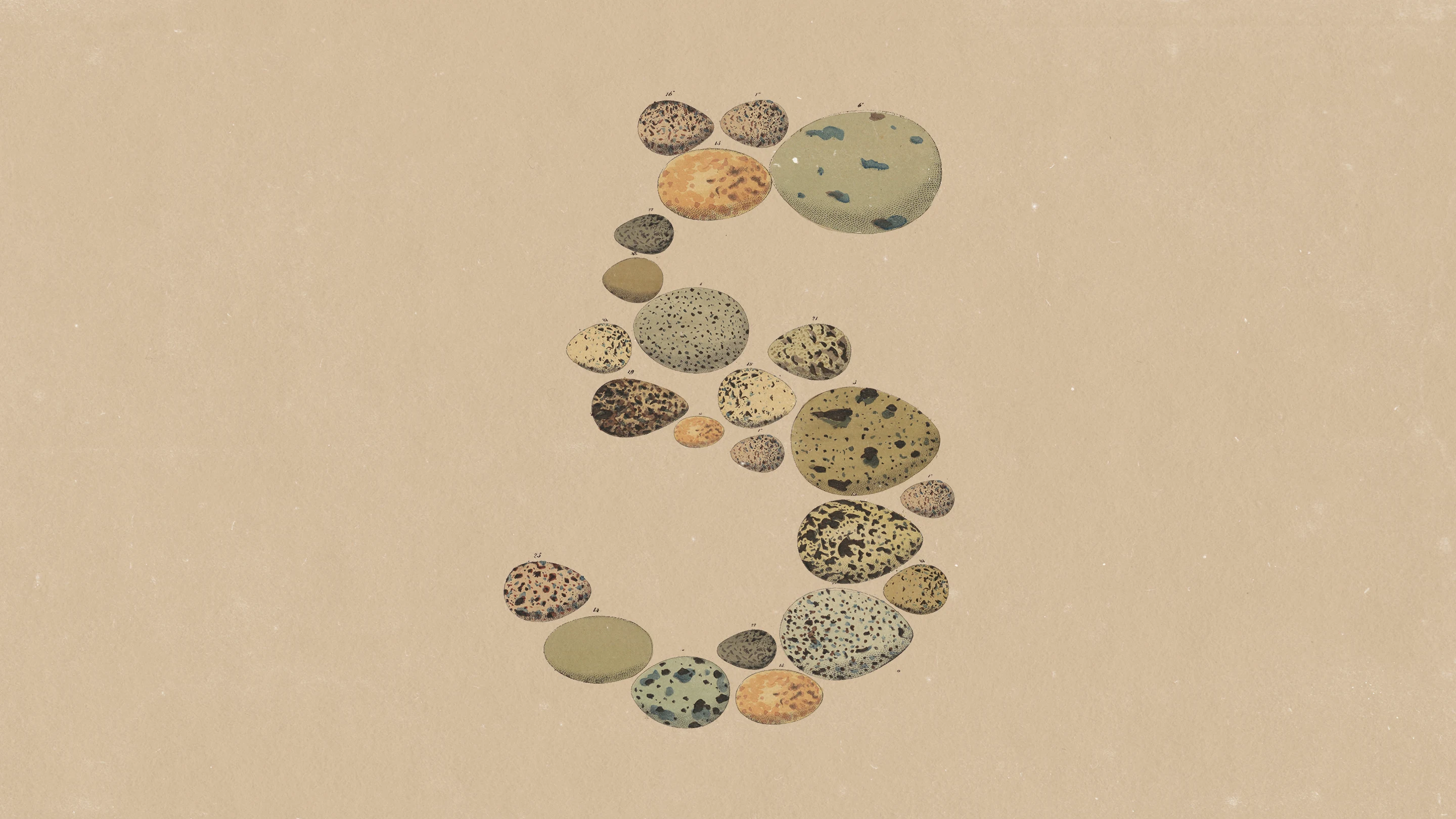 Claude Opus 5 Costs $5 per Million Input Tokens: Anthropic Pulls Agent Competition Back to Cost